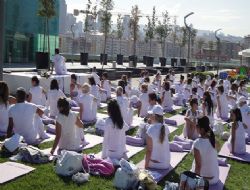 Yoga karnavalı