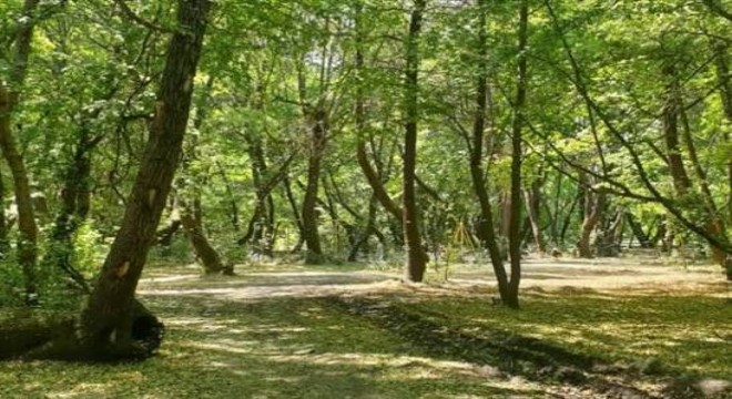 27 İlde Orman Sınırları Yeniden Belirlendi