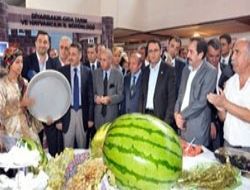 Diyarbakır günleri AKM de