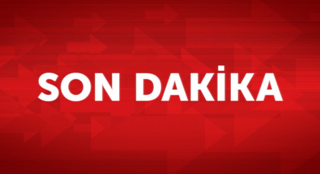 Hükümetten Zeytin Dalı Harekatı açıklaması: Mayıs ayına kadar biter