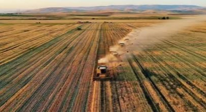 Tarım-GFE'de Yıllık Artış Yüzde 27,62